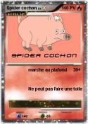 Spider cochon