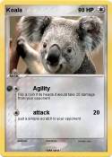 Koala