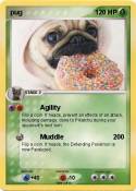 pug