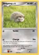 Hedgehog