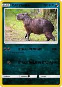 CAPYBARA