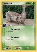 rabbitduck