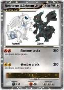 Reshiram &Zekro