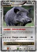 Sanglier