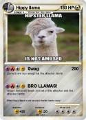 Hippy llama