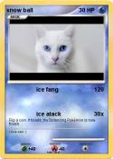 snow ball