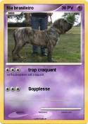 fila brasileiro