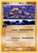 triple h NV