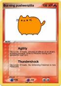 Burning pusheen