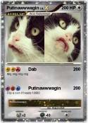 Putinawwwagin