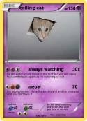 celling cat