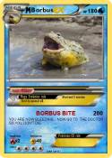 Borbus