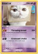 bread cat