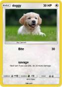 doggy