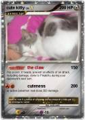 cute kitty
