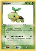 tortipouss