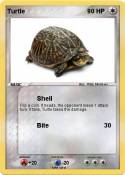 Turtle
