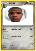 Requin