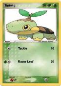 Turtwig