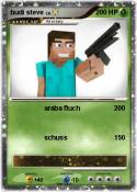 budi steve