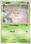 Iguane