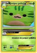 juniper peluche