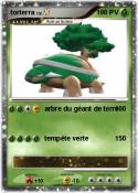 torterra