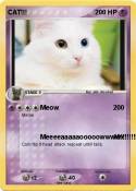 CAT!!!