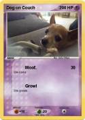 Dog on Couch
