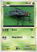 Fly