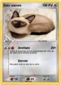 Gato siamés