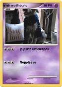 irish wolfhound
