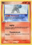 Yeti