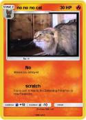 no no no cat
