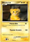 Pikachu Cat