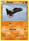 SkyEagle