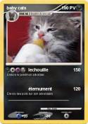 baby cats