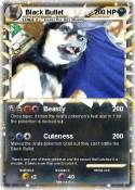 Black Bullet