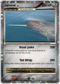 narwhal