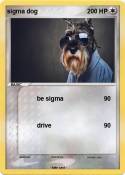 sigma dog