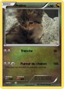 Praline