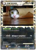 chat bizzare