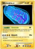 Mitotondria