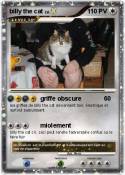 billy the cat