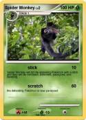 Spider Monkey
