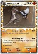 coufous chat