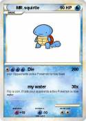 MR.squirtle