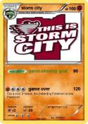 storm city