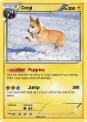Corgi