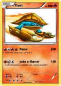 Flash